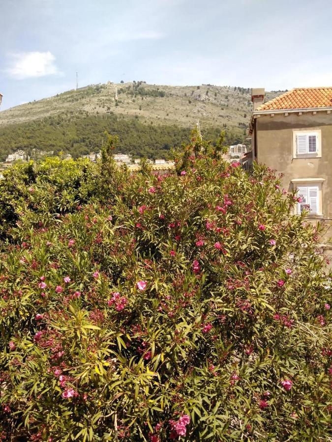 Joy Apartments Old Town Ragusa Esterno foto